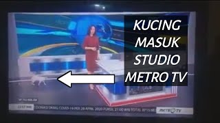 Download lagu Kucing Masuk Metro TV