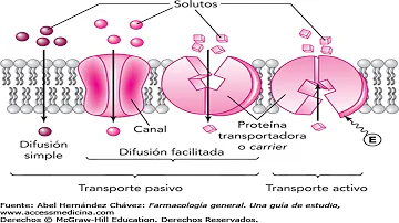 ¿Cuáles son los 4 factores que afectan a la absorción de un fármaco?