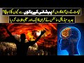 Medical Science Proved Another Miracle Of Quran | Urdu / Hindi