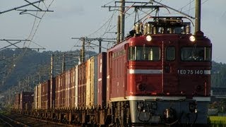 ED75 貨物列車