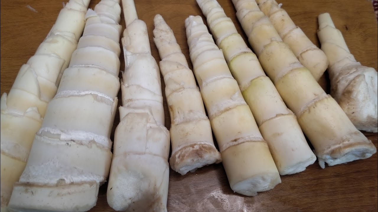 आज मैं आप सब के साथ बस्तर की प्रसिद्ध  बासता की सब्जी 🤩बनाने का तरिका बताने जारी हूं | Bamboo shoot!