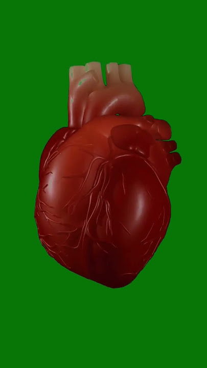 heart green screen #shorts #shortsgreenscreen #chromakey