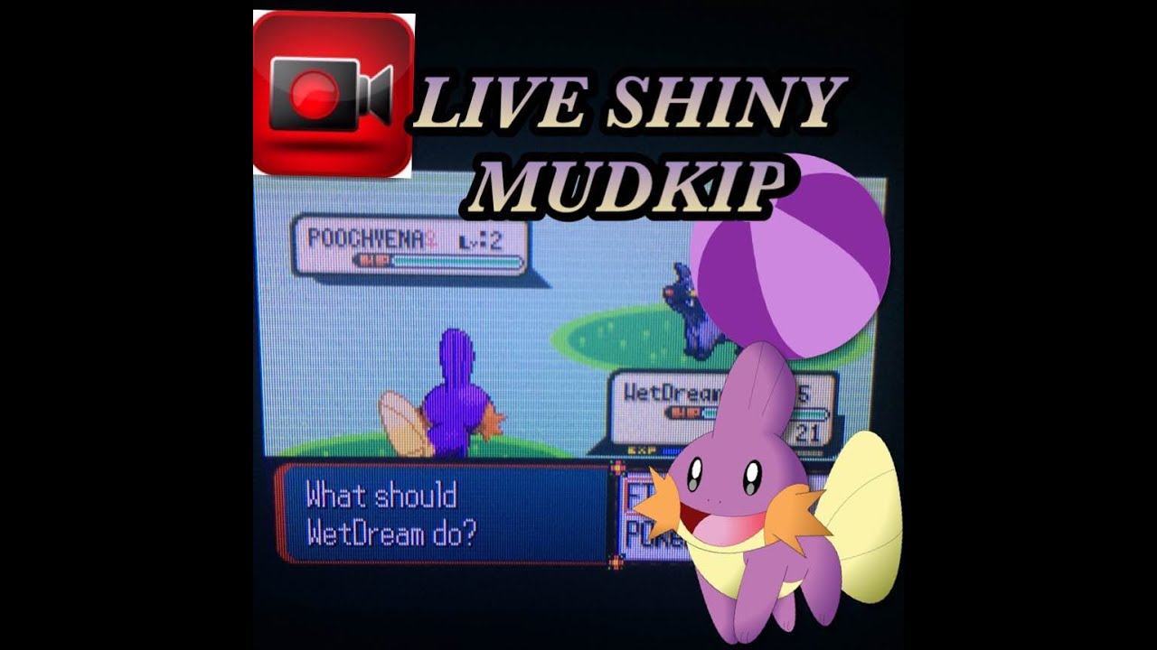 [LIVE!!!] Shiny Mudkip after 7,410 SR's in Pokemon Sapphire!