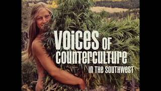 Lisa Law Who Was Emmett Ftogan, And Who Were The Diggers