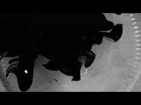 a bottomless cup -Yasu.M (Music Video)