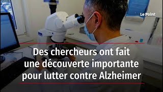 Des chercheurs ont fait une découverte importante pour lutter contre Alzheimer