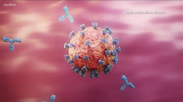 Health officials concerned over new COVID-19 variant Omicron