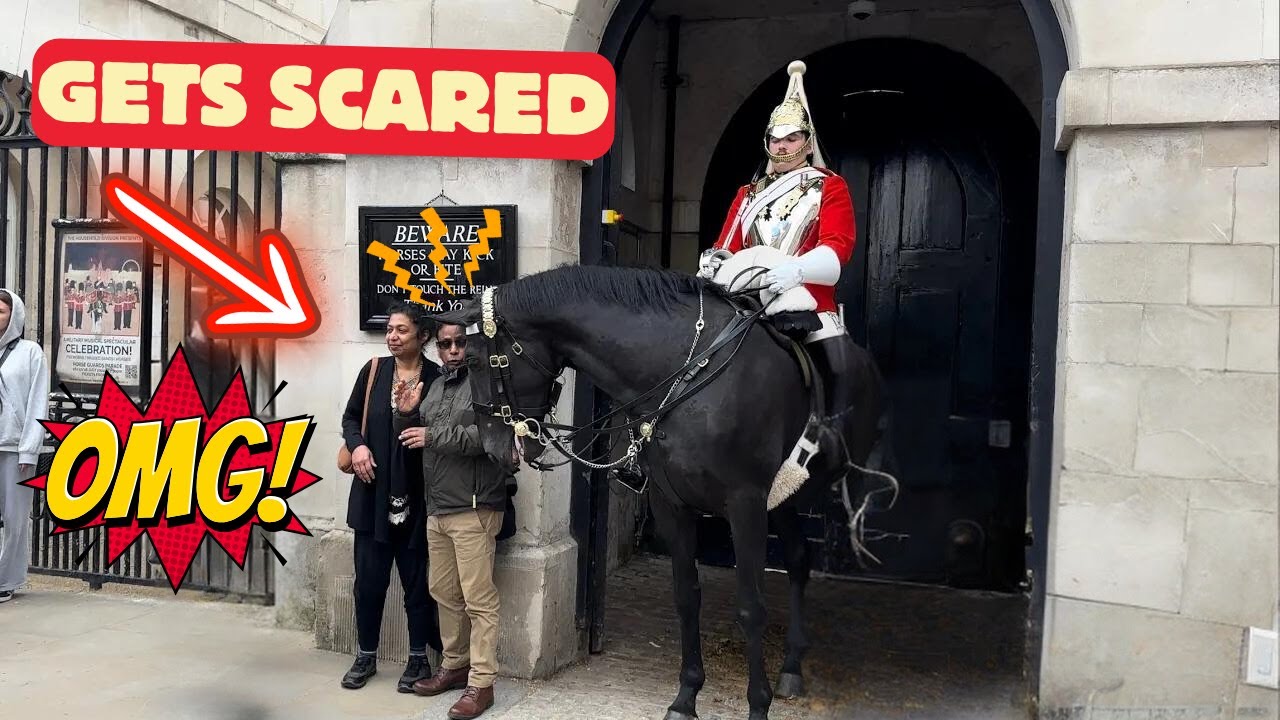 Scared Guard Tourist Ignores Warnings and Gets Scared by Guard Horse. - YouTube