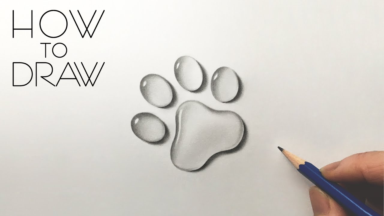 Dog paws can be fun to draw and can add detailing to your composition, such  as paws from a dog walking away or a p…