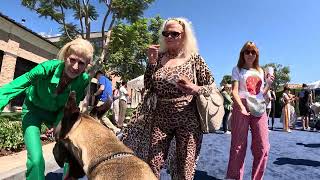 Great Dane Oliver at Palisades Village Grand Reopening (3 of 10)