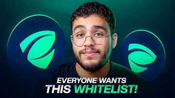 Zero Knowledge Proof Whitelist: Why ZKP Built a $100M Network Before Presale