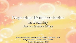 Disgusting lift modernisation in Bromley: Princess Ballerina Edition