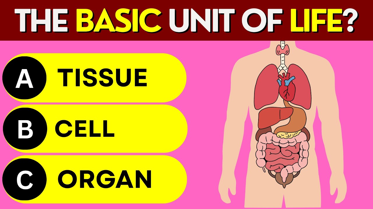 Only Geniuses Can Pass This 50 Question Science Quiz! Test Your Knowledge | Quiz Terrain