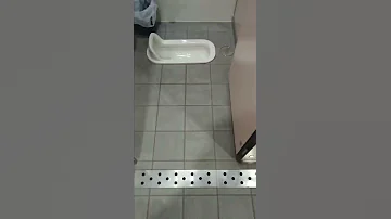 女 子 トイレ ンコ 潮来駅 和式 トイレ サニタリーボックス Squat Toilet 茨城県 水流 Wc 