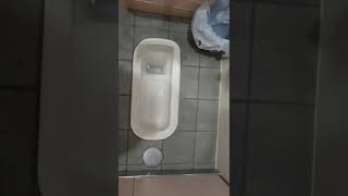女  子 トイレ【◯ ンコ】潮来駅　和式　トイレ　サニタリーボックス　Squat 　toilet 茨城県　水流 wc screenshot 2