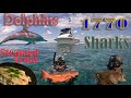 Exploring the reef swimming with dolphins spearfishing with sharks  catch  cook  steamed trout