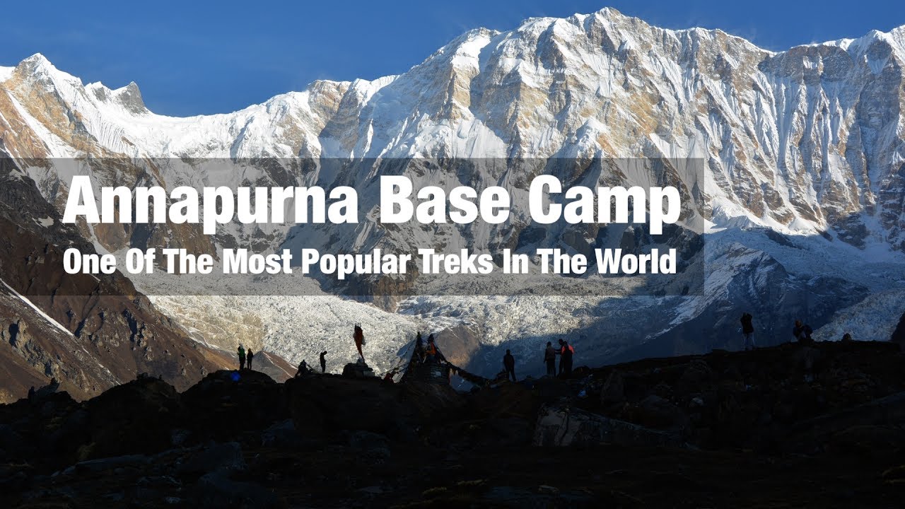 base camp trek indiahikes