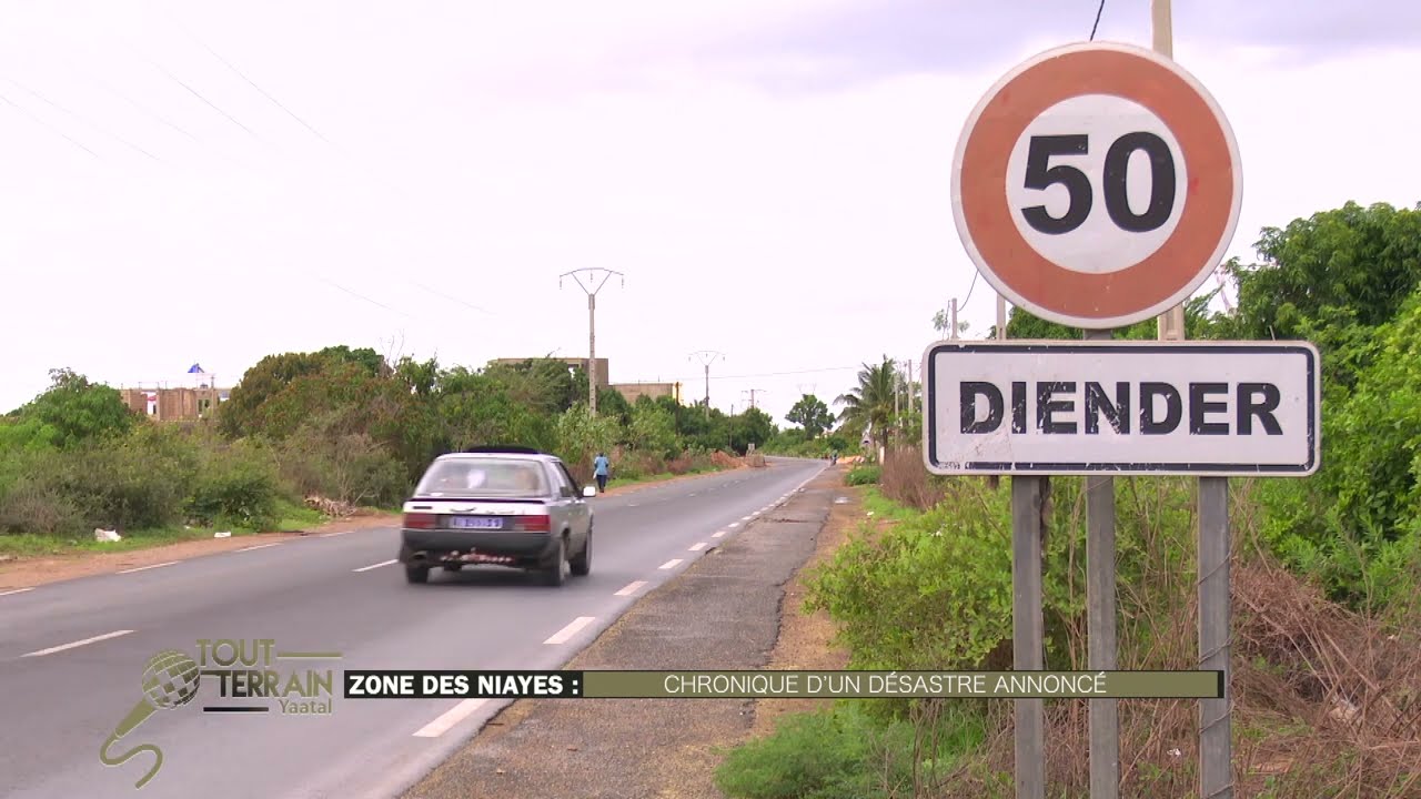 TOUT TERRAIN - Zone des Niayes : chronique d’un désastre annoncé
