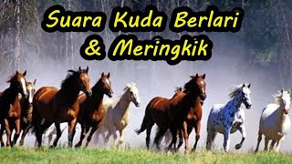 Suara Kuda Berlari dan Meringkik (Horses Running & Neighing Sound)