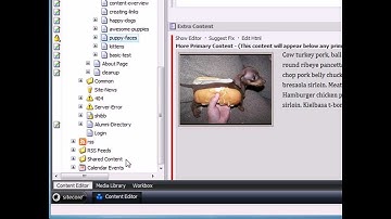 Sitecore Content Loading Dock: Content Overview