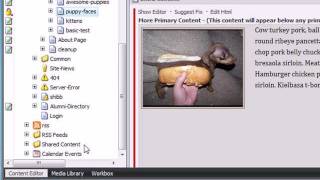 Sitecore Content Loading Dock: Content Overview