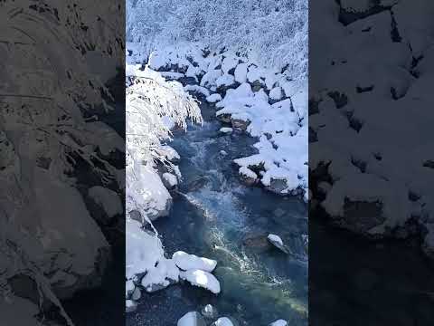 Видео: Zauberhaftes Schweizer Bachidyll: Die Schönheit der Natur erleben