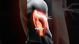 “Big biceps… but arms still look small?”