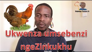 Ukwenza umsebenzi ngeZinkukhu | Impunga Yesintu TV