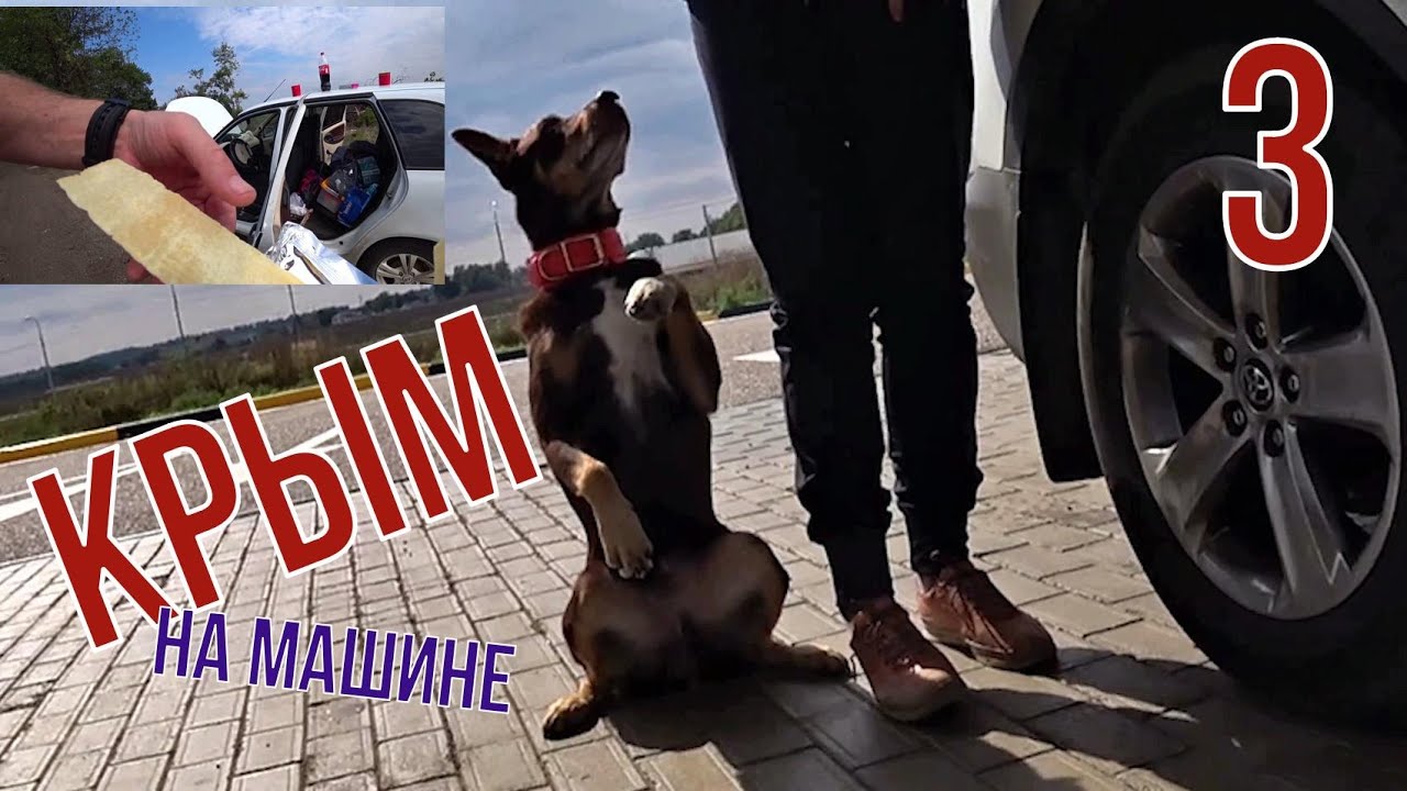 Тула голубицкая на машине