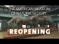 The American Museum of Natural History is Now Open!