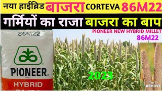 Pioneer 86M22 Hybrid Millet Variety | Pioneer Millet 86M22 New Hybrid Variety Millet Farming
