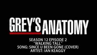 Grey's Anatomy S12E02 - Since U Been Gone (Cover) by Ian Keaggy