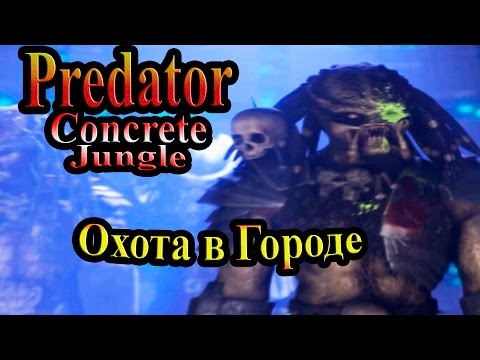 Прохождение Хищник Бетонные Джунгли (Predator Concrete Jungle) - часть 2 - Охота в Городе