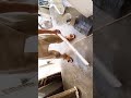 AC Service Karne Ka Tarika | Haier Inverter AC Washing 🛠️🧼