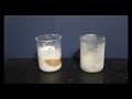 Egg membrane experiment (1. Extremophiles, Mars Collection of Educational Resources)