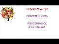 Продам любимую дачу в надежные руки. Новосибирск р-он Пашино