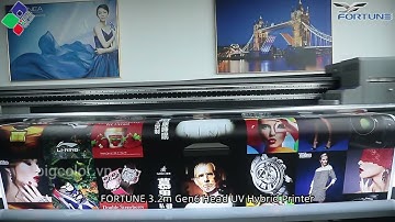 Máy In UV Fortune Hybrid 3200MH | In Cuộn & Phẳng Đa Năng, Khổ Lớn