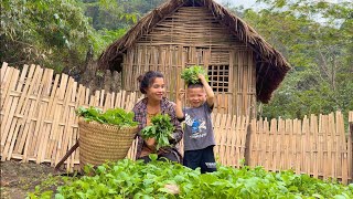 17 Year Old Single Mother - Harvests Vegetables on the Farm to Sells & And Cooks- ly tu ca