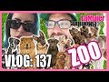 VLOG 137: CONOZCAN A NUESTRAS MASCOTAS