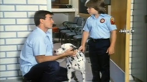 ♦TV Classics♦ Code Red (S01E02 Death Of A Fireman)