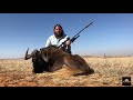 Black Wildebeest hunt with FFF Safaris