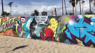 A Day In Venice Beach!