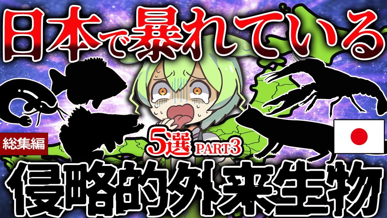 【総集編】日本を侵略し日本人ブチギレ！？日本に来た外来種の悲惨な末路5選【ずんだもん＆ゆっくり解説】
