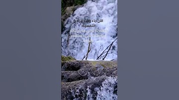 تلاوة فضيلة الشيخ أ.د. #ياسر_الدوسري