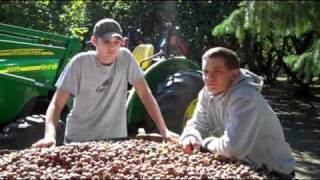 Oregon Hazelnuts: Decidedly Delicious, Distinctly Oregon