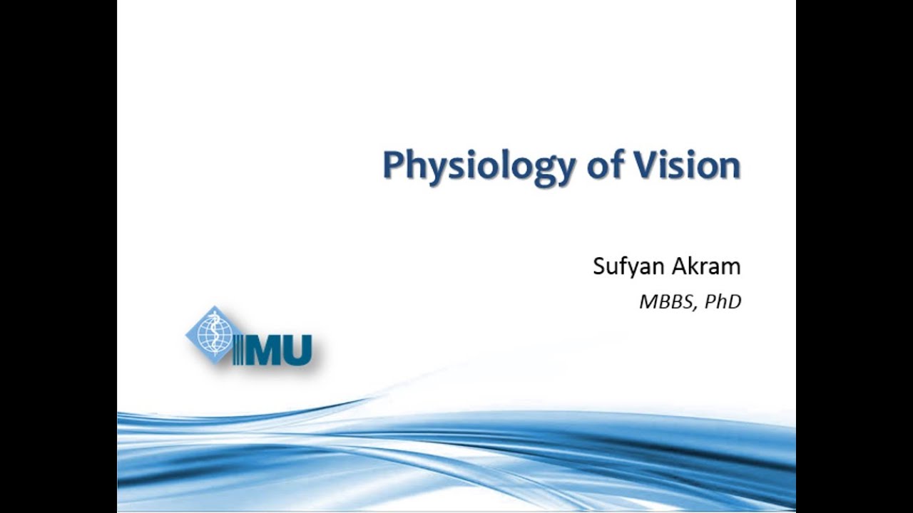 Physiology of Vision  YouTube