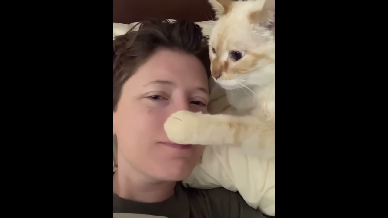 This is true love between cats  and humans 💕💕🐈 