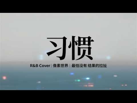 夏婉安 - 習慣｜R&B × Emo 改編 Cover｜最怕沒有結果的拉扯，卻還要裝作早已放下｜深夜耳機情緒版