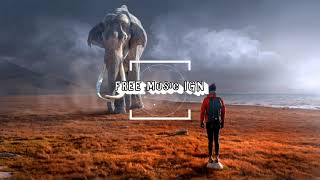 No Copyright Music Argentina Tango Bandonian Free Music