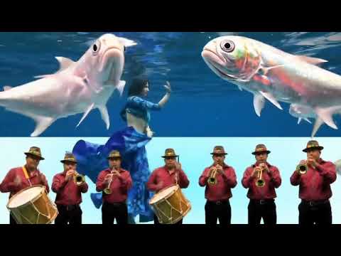 السلكان كسبان   قال ايه قالوا بيحبونا دول ط ل عوا عين ابونا